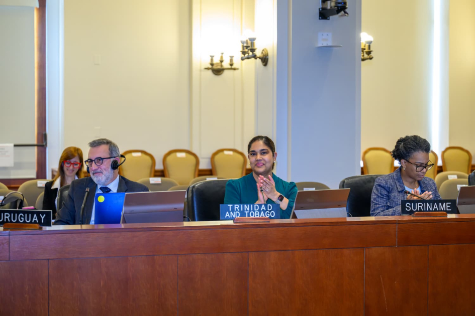 Integrantes de la Comisión Permanente de la Organización de los Estados Americanos Integrantes de la Comisión Permanente de la Organización de los Estados Americanos