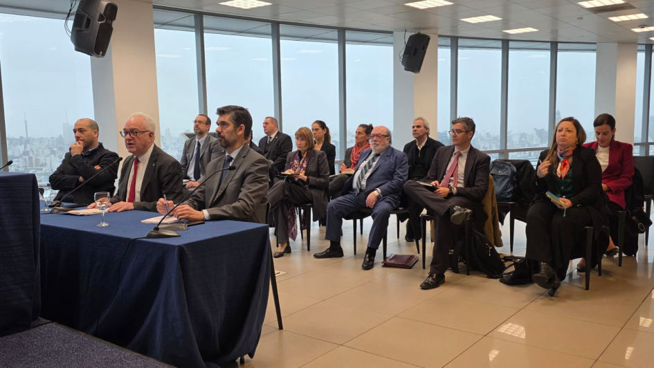 El ministro Lubetkin y su gabinete en la reunión virtual con embajadoras y embajadores