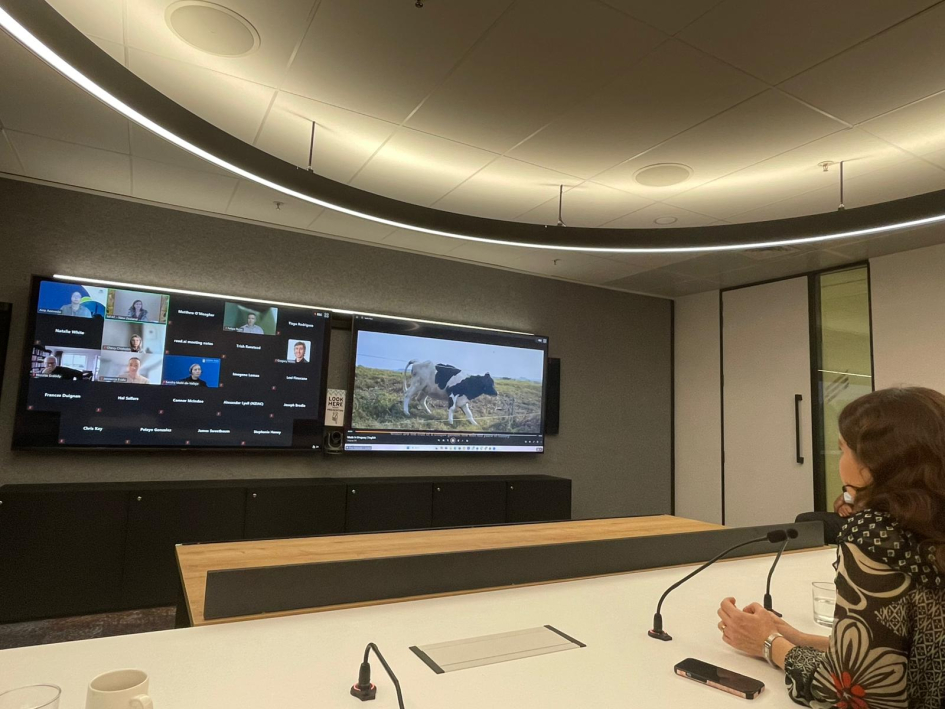 La subsecretaria Csukasi mantuvo reunión virtual con el Consejo Empresarial Latinoamérica en Nueva Z La subsecretaria Csukasi mantuvo reunión virtual con el Consejo Empresarial Latinoamérica en N Z