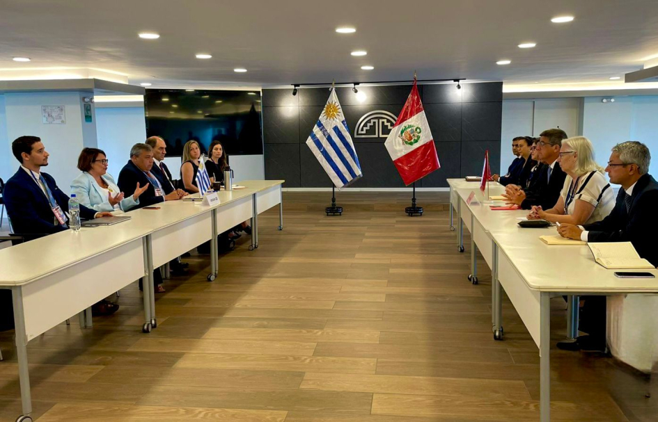 Reunión entre uruguay y perú
