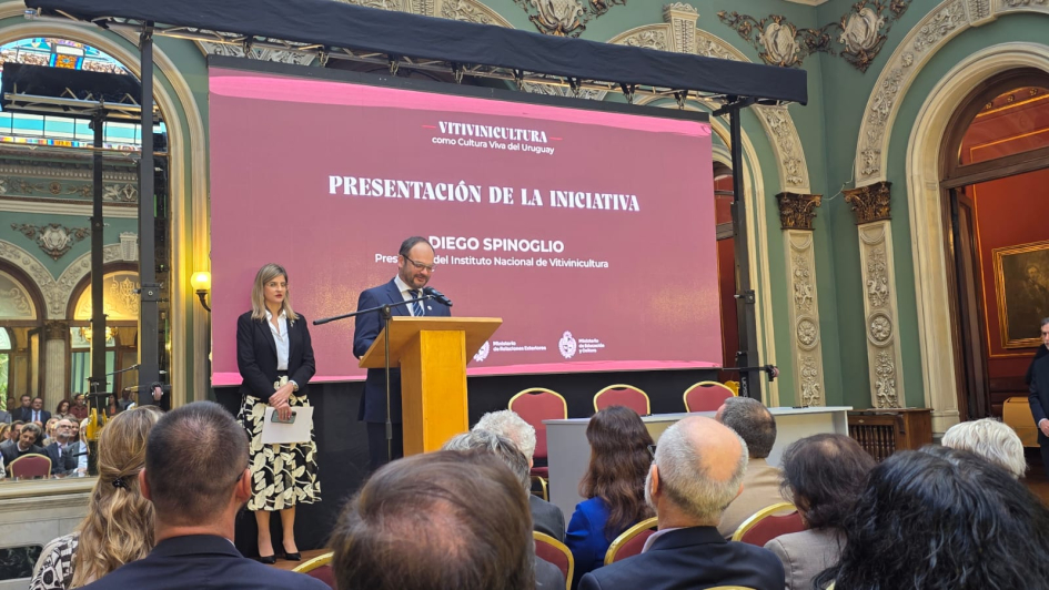 Presidente de INAVI, Diego Spinoglio