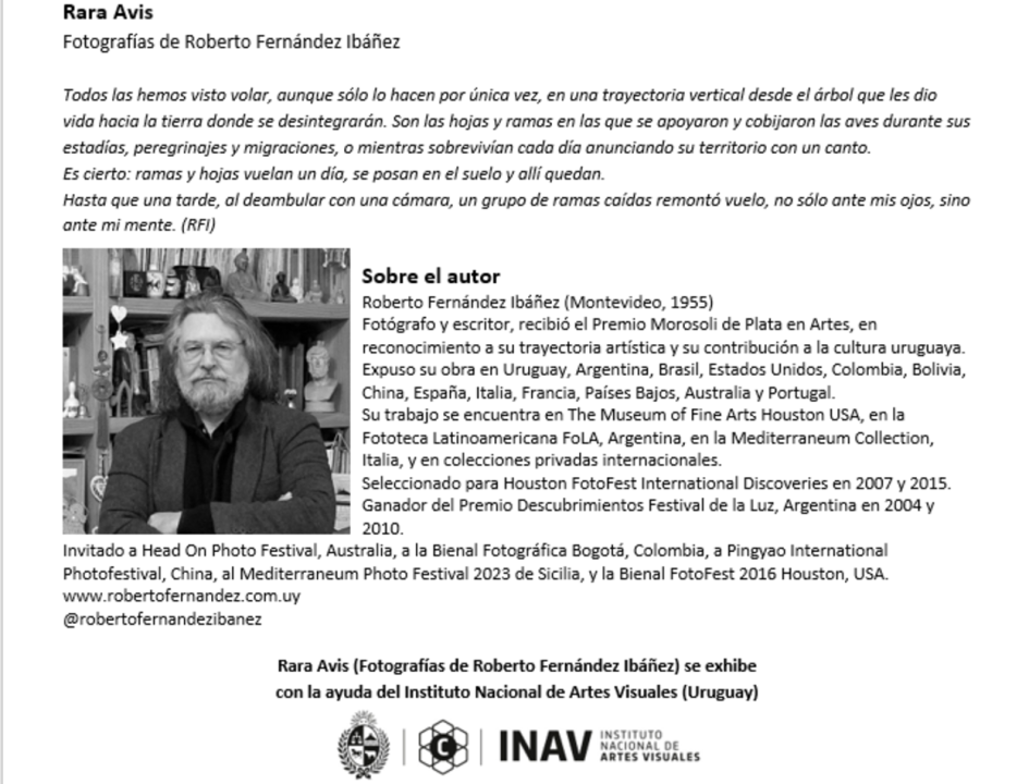 Hoja con breve comentario sobre la exposición y el currículum de Roberto Fernández Ibáñez