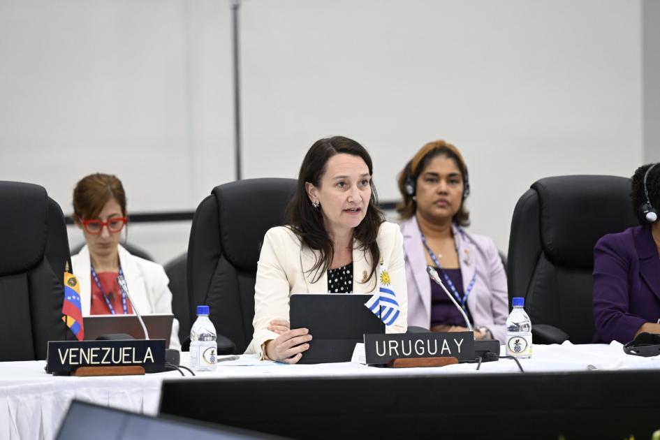 Valeria Csukasi en Asamblea General de la OEA Valeria Csukasi en Asamblea General de la OEA