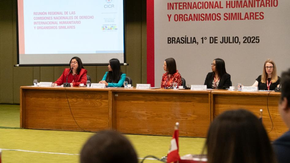 Reunión Regional de las Comisiones de Derecho Internacional Humanitario Reunión Regional de las Comisiones de Derecho Internacional Humanitario