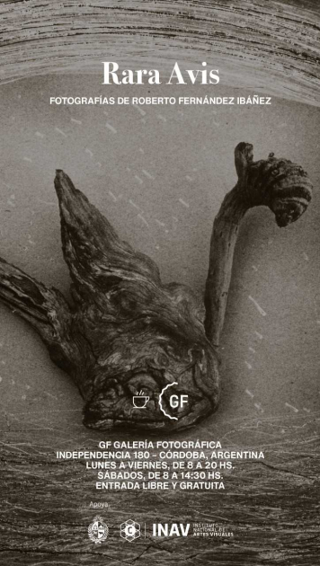 Hoja informativa de la exposición con una de las fotografías expuestas de fondo