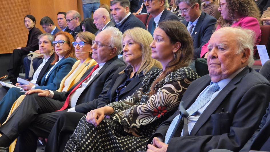 Platea Platea
