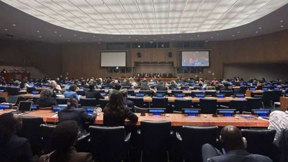 elecciones de los órganos subsidiarios del Consejo Económico y Social (ECOSOC)