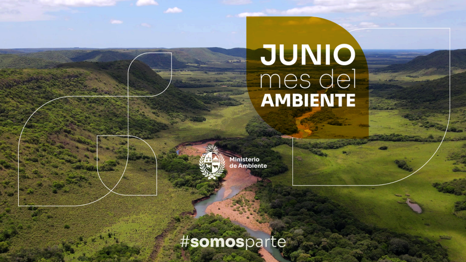 Campaña mes del Ambiente
