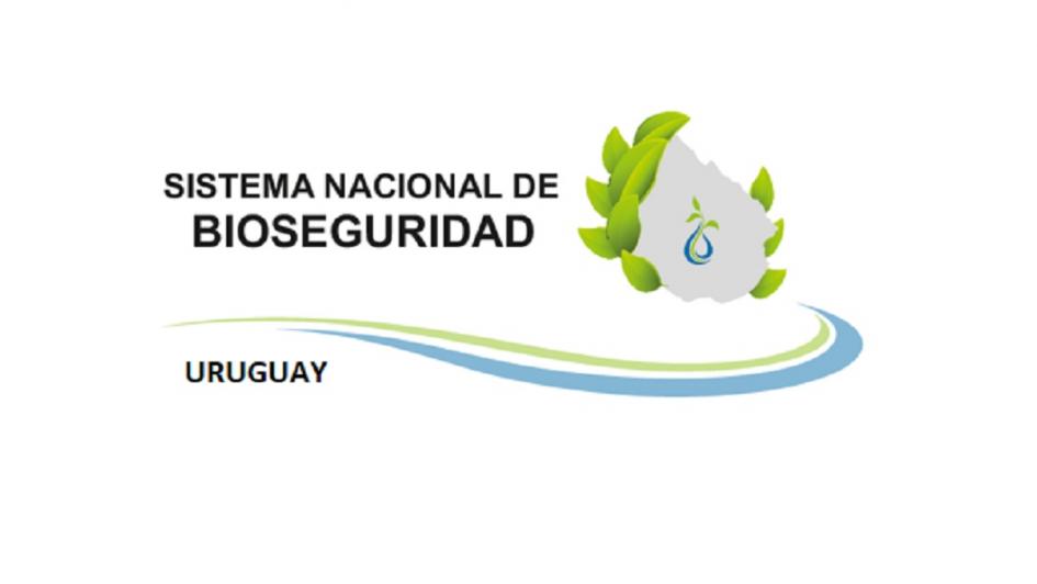 Gabinete Nacional de Bioseguridad Gabinete Nacional de Bioseguridad