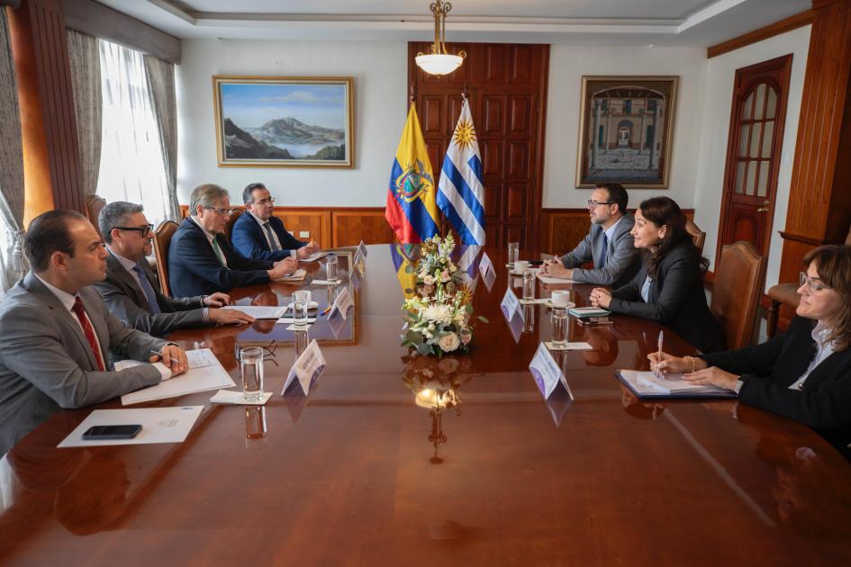 Reuniónes Bilaterales Vicecanciller de Uruguay y Viceministros de Movilidad Humana y Cooperación Int Reuniones Bilaterales Uruguay - Ecuador