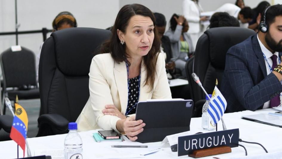Valeria Csukasi en Asamblea General de la OEA Valeria Csukasi en Asamblea General de la OEA