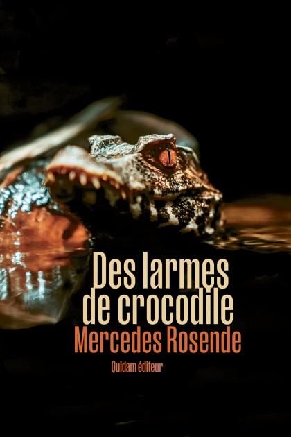 Portada del libro nominado al premio. Portada del libro nominado al premio.
