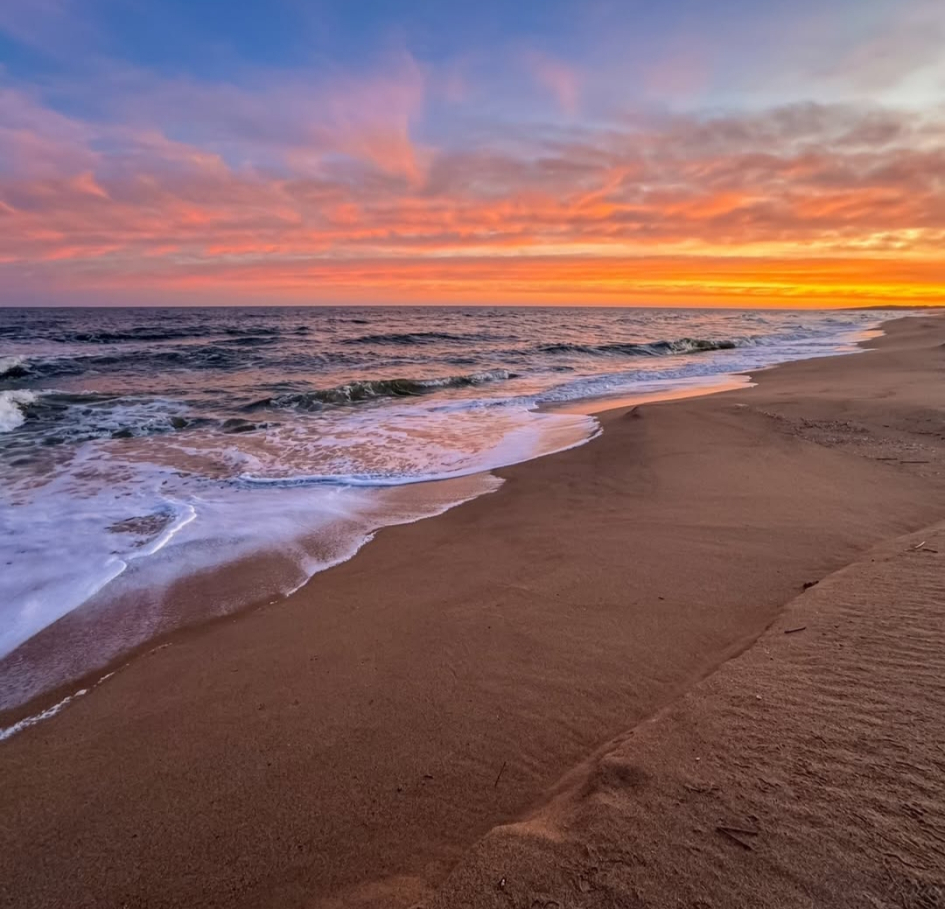 Punta Negra, Maldonado