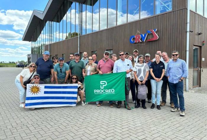 uruguayos en holanda