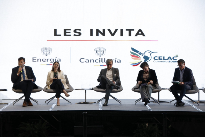 Panel “Mecanismos Financieros Innovadores para Escalar Proyector Energéticos”