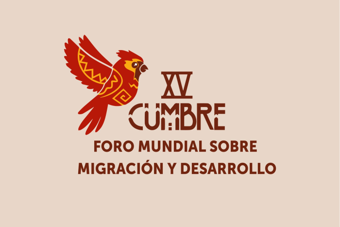 XV Cumbre del FMMD