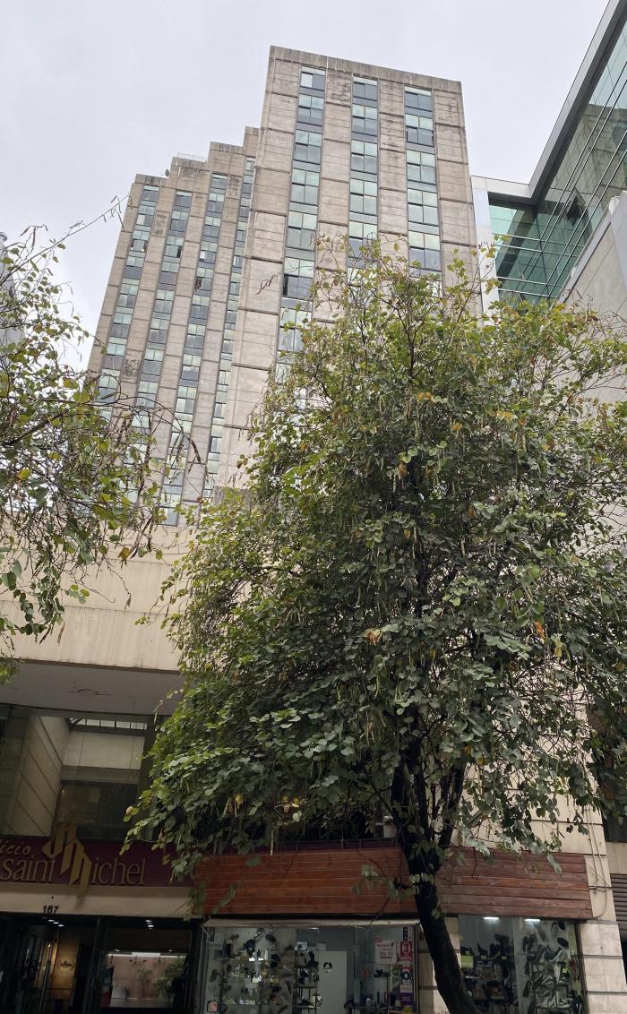 Foto del edificio Saint Michel, donde se encuentra el Consulado General