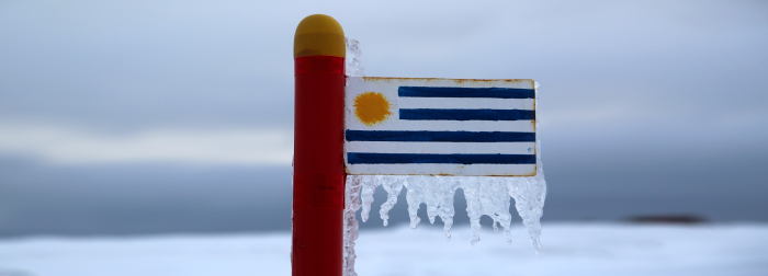 Fotograma del documental Uruguay Antártico en el que se ve la bandera de Uruguay congelada