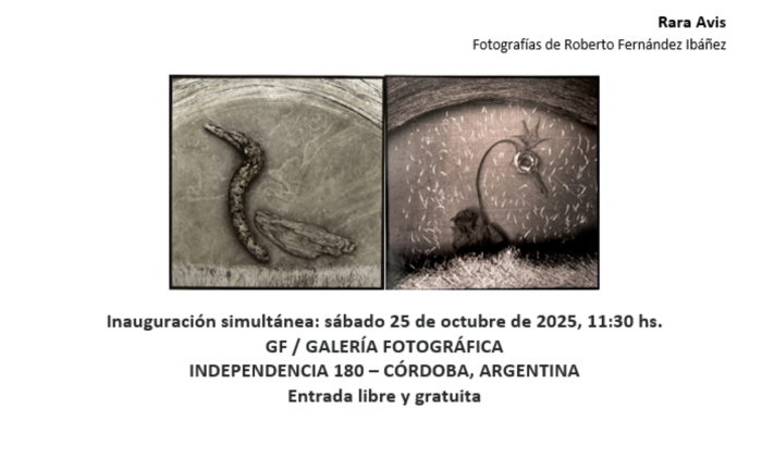 Exhibición "Rara Avis". Fotografías de Roberto Fernández Ibáñez - Uruguayo Exhibición "Rara Avis". Fotografías de Roberto Fernández Ibáñez - Uruguayo