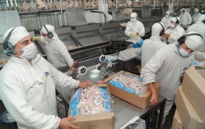 Empaquetado de exportación de carne aviar de la Argentina