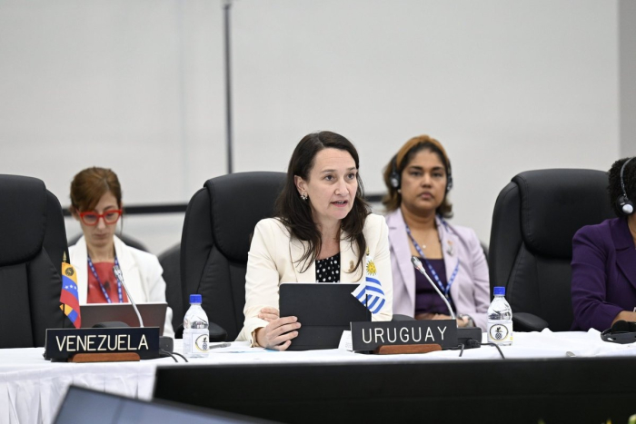 Subsecretaria del Ministerio de Relaciones Exteriores, Valeria Csukasi