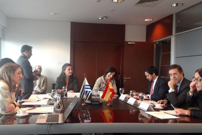 Integrantes del Comité Directivo de la Alianza para el Desarrollo Sostenible Uruguay-España 