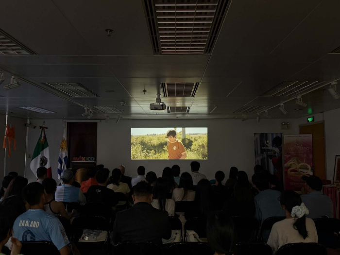Proyección de "Mi Mundial" Foto tomada desde atrás de la sala, con la pantalla de fondo proyectando la película