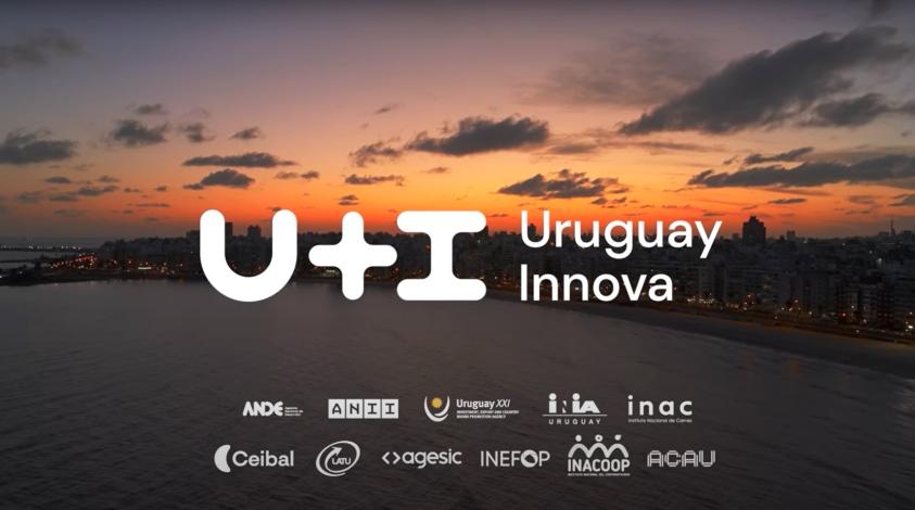 u+i