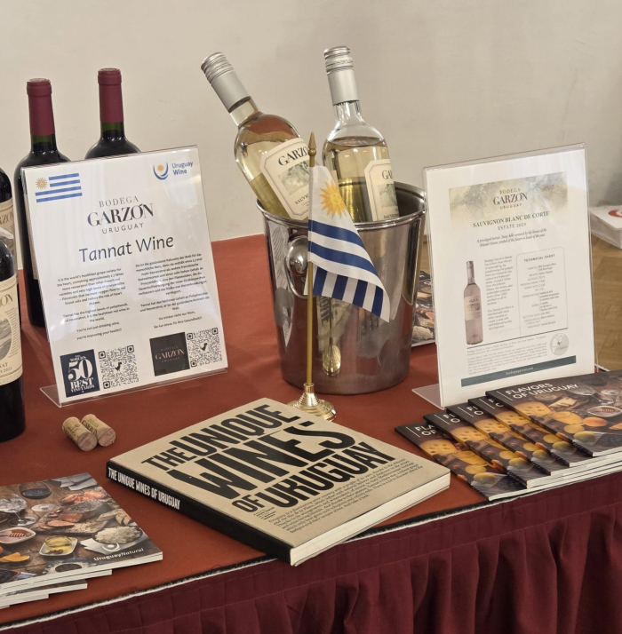 Fotos Vino