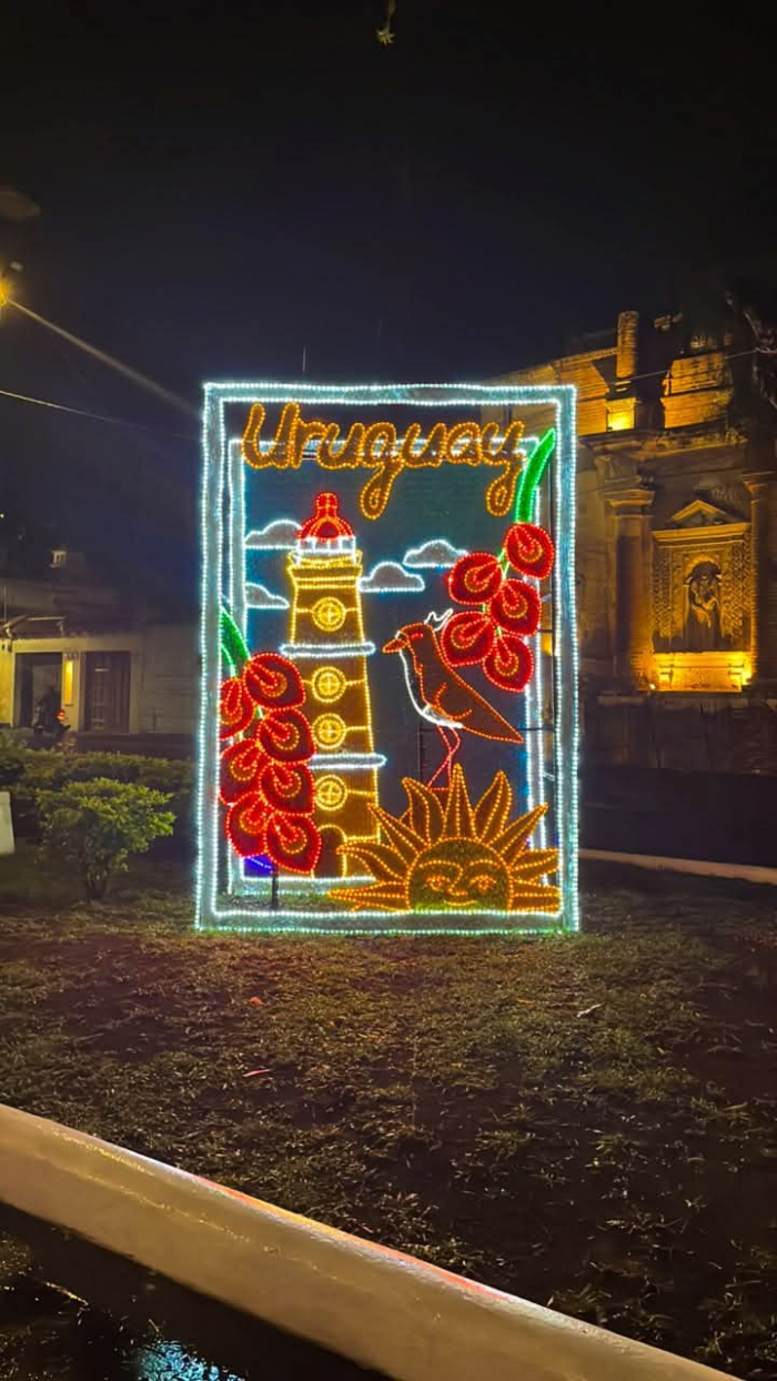 Afiche Festival de la Luz