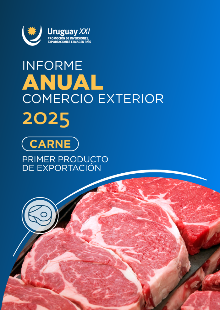 caratula informe anual publicado