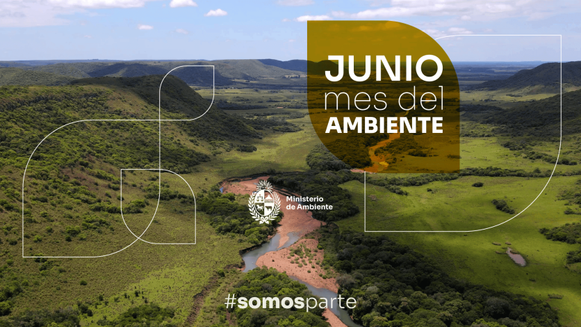 foto de un paisaje rural uruguayo con la impresión de junio mes del ambiente