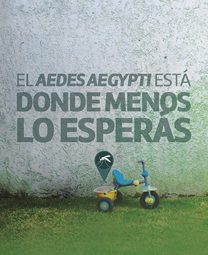 Campaña AEDES 2019