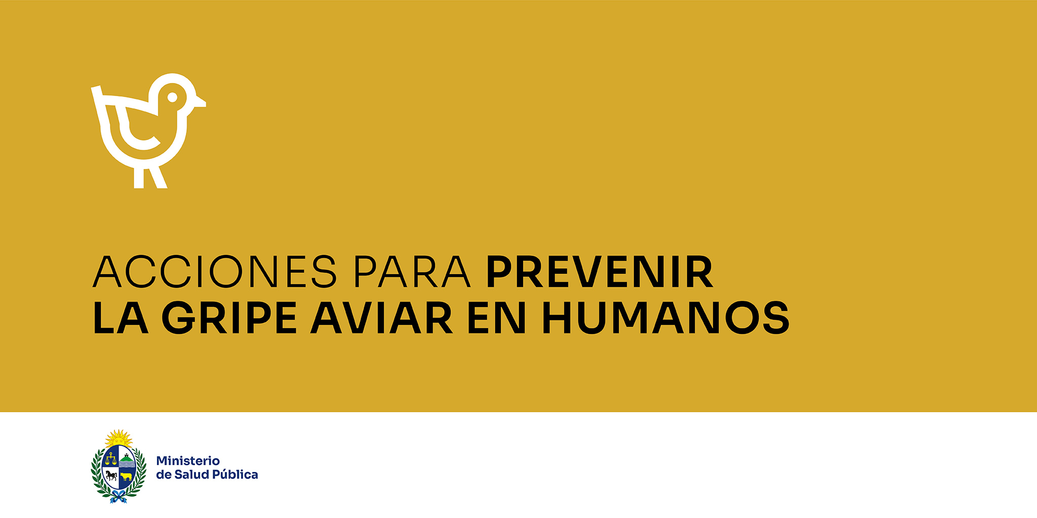 Acciones para prevenir la gripe aviar en humanos