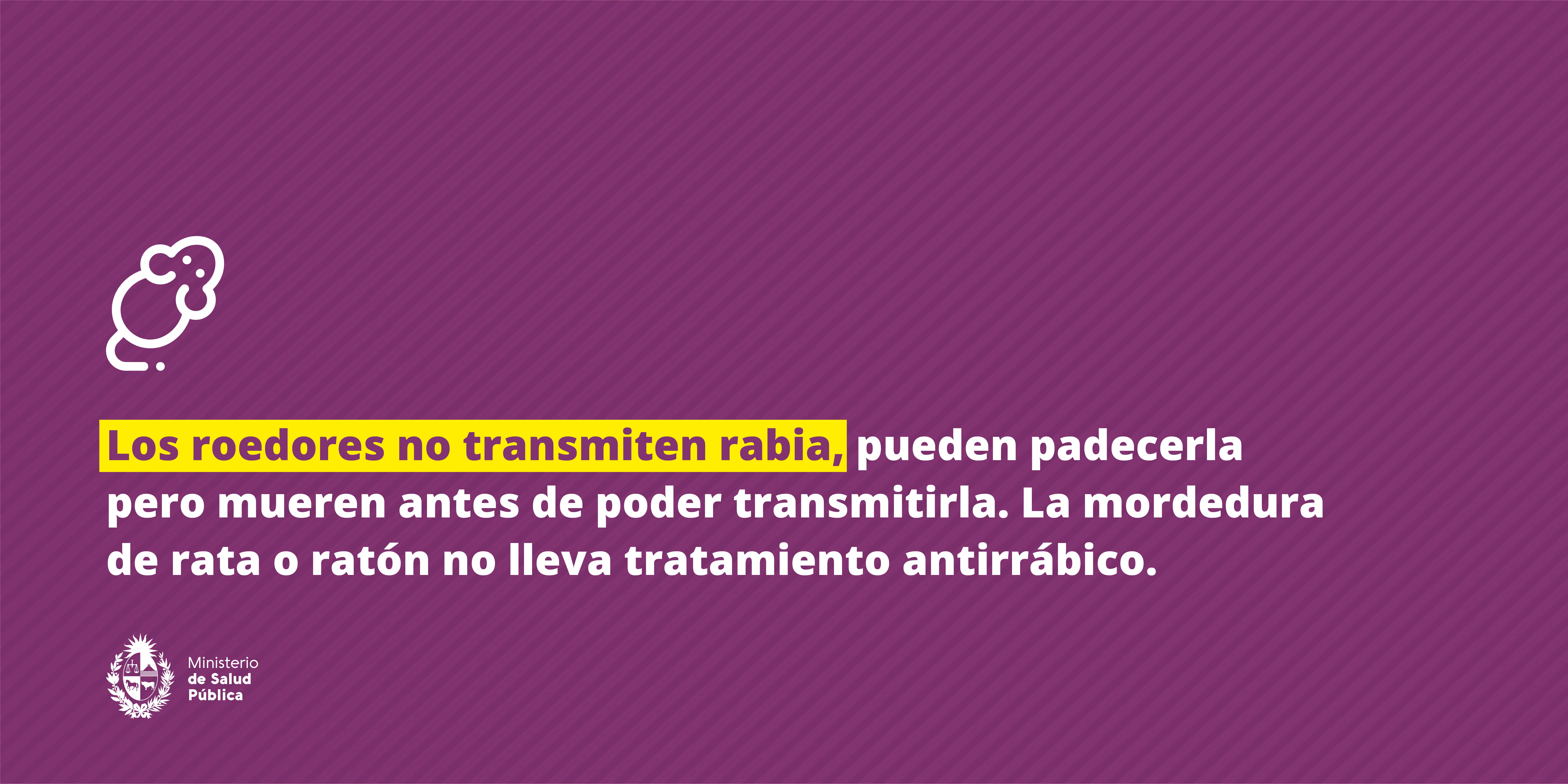 Campaña de prevención de rabia | Ministerio de Salud Pública