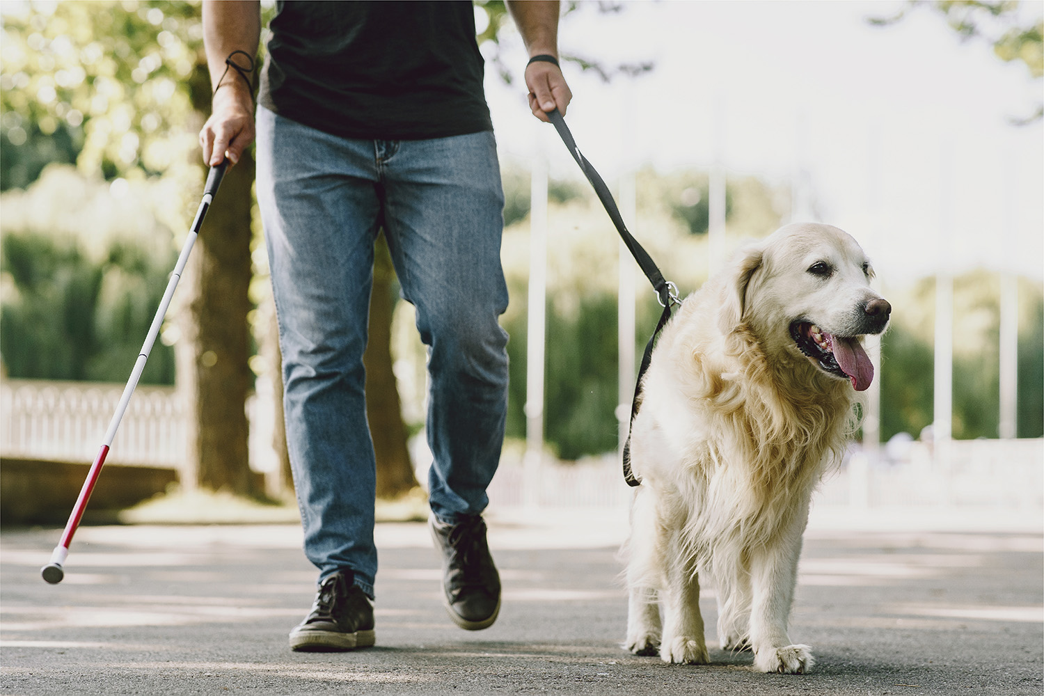 Persona ciega camina con perro guía