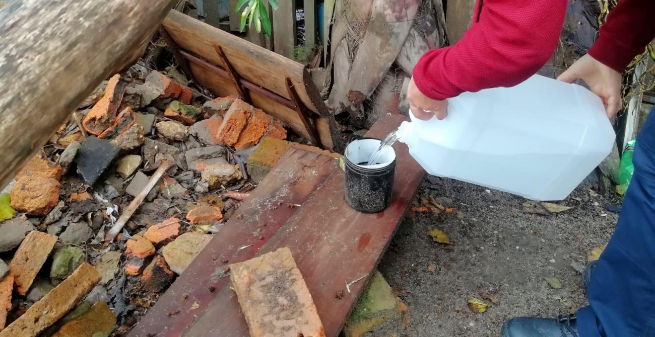 Llenado de ovitrampa con agua