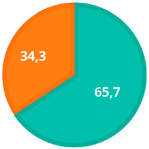 65,7% tuvo experiencia trabajando con pacientes con TEA