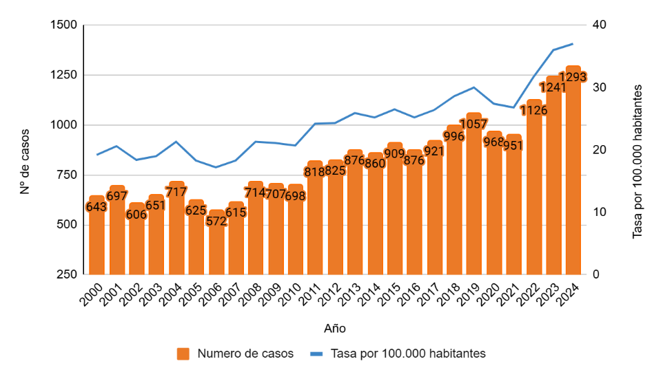 Entre 2000 y 2024 el número de casos aumenta de 643 a 1293. La tasa por 100.000 habitantes también muestra una tendencia creciente, con aumento marcado desde 2021.