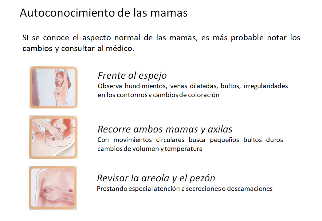 Autoconocimiento de las mamas. Observa hundimientos, venas dilatadas, bultos, irregularidades en los contornos y cambios de coloración. Con movimientos circulares busca pequeños bultos duros, cambios de volumen y temperatura. Revisar la areola y pezón prestando atención a secreciones o descamaciones.