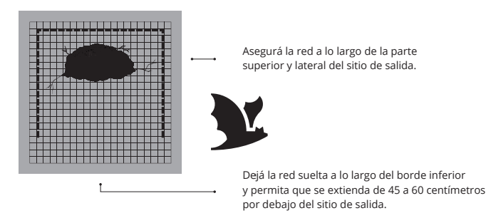 Esquema que muestra una red asegurada arriba y a los lados, suelta abajo para la salida de murciélagos.