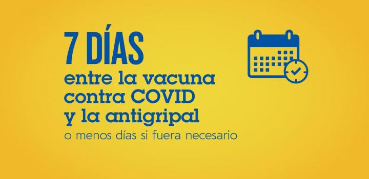 campaña 2021