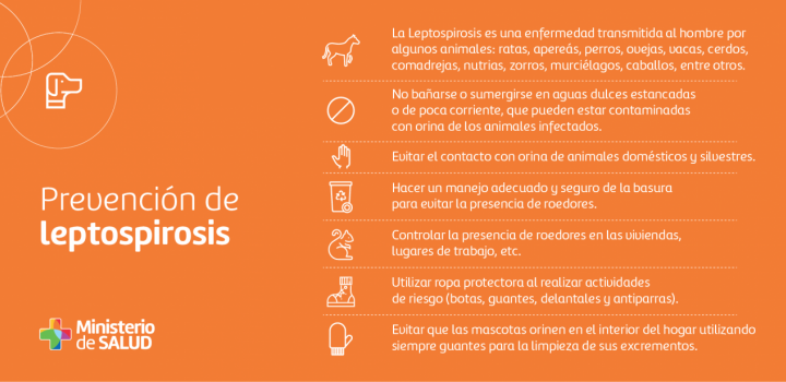 Placa sobre medidas de prevención de leptospirosis