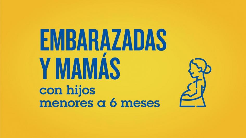 campaña 2021 campaña 2021