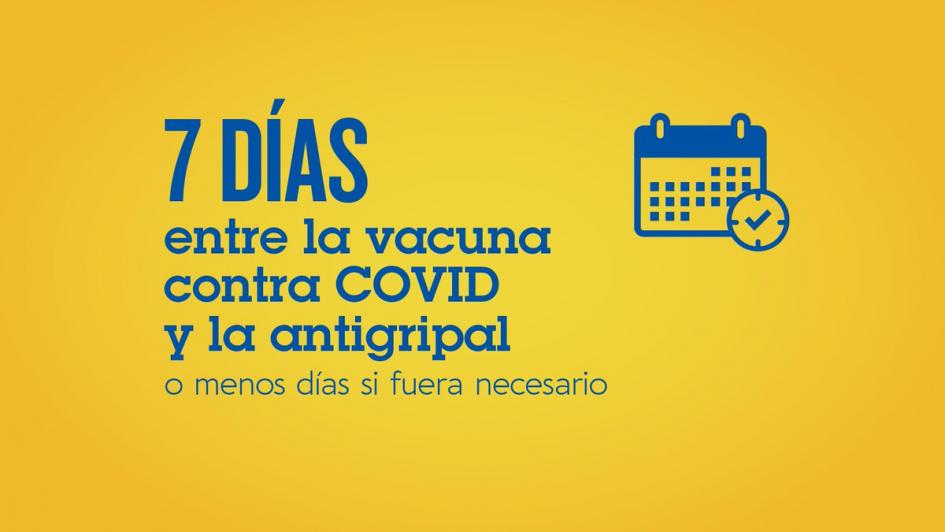 campaña 2021 campaña 2021