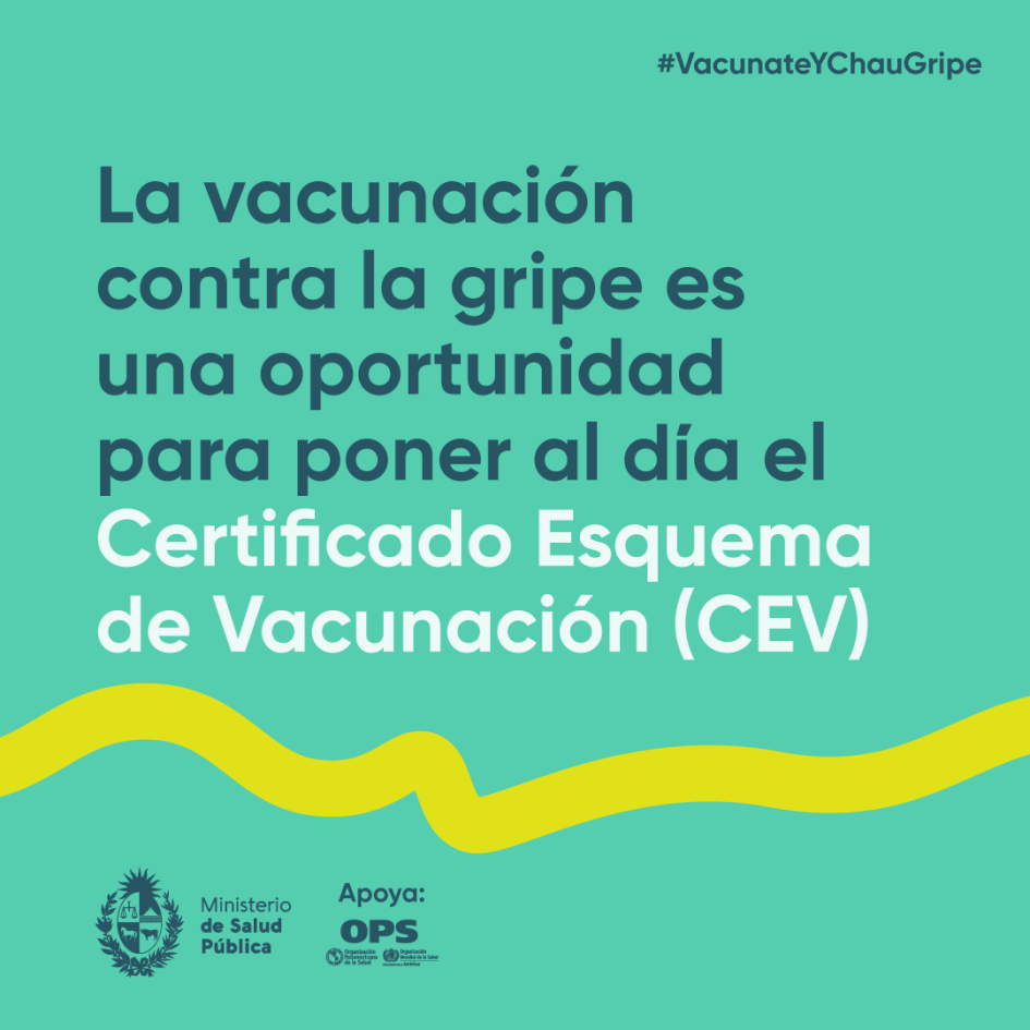 Poner al día el esquema de vacunación La vacunación contra la gripe es una oportunidad para poner al día el Certificado (CEV)