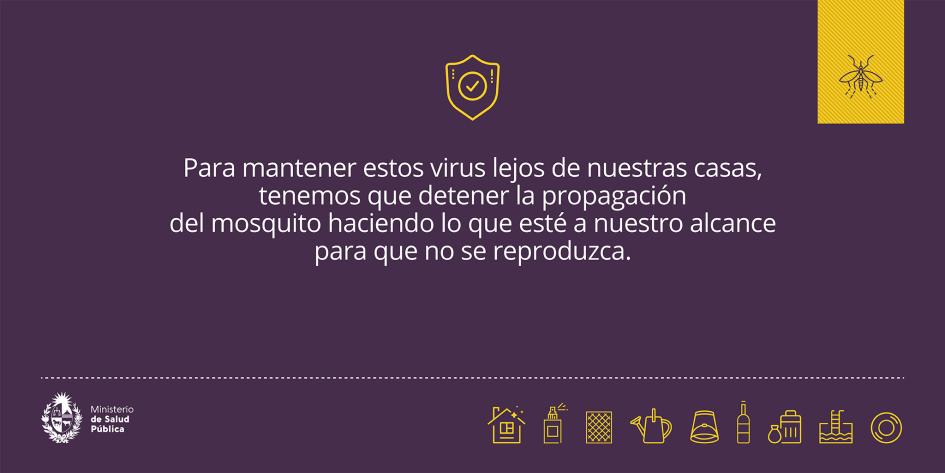 Campaña de prevención de dengue 3 Para mantener estos virus lejos de nuestras casas, tenemos que detener la propagación del mosquito