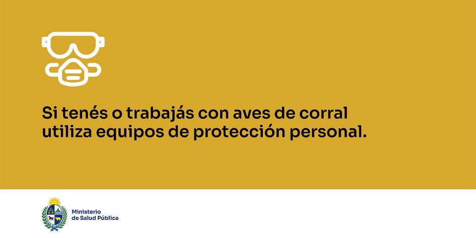 Si tenés o trabajás con aves de corral utiliza equipos de protección personal
