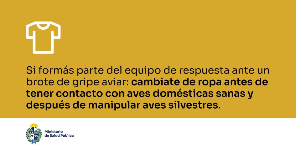 Si formás parte del equipo de respuesta ante un brote de gripe aviar (leer cuerpo de la web)