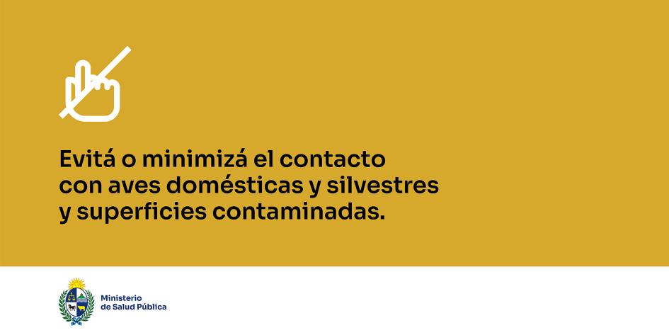 Evitá o minimizá el contacto con aves domésticas y silvestres y superficies contaminadas